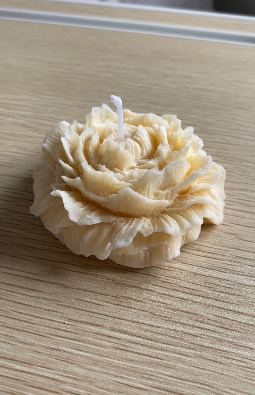 Large peony
