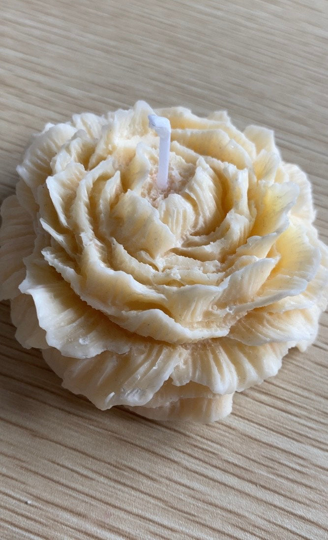 Large peony