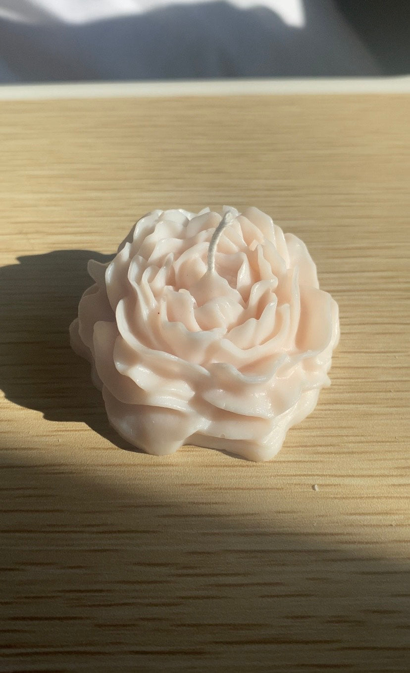Medium peony