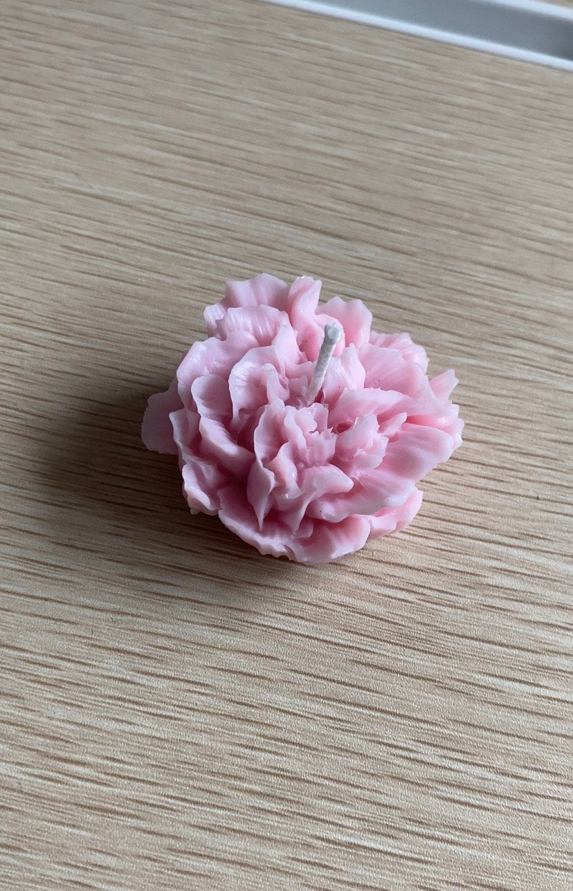 Peony flower bundle