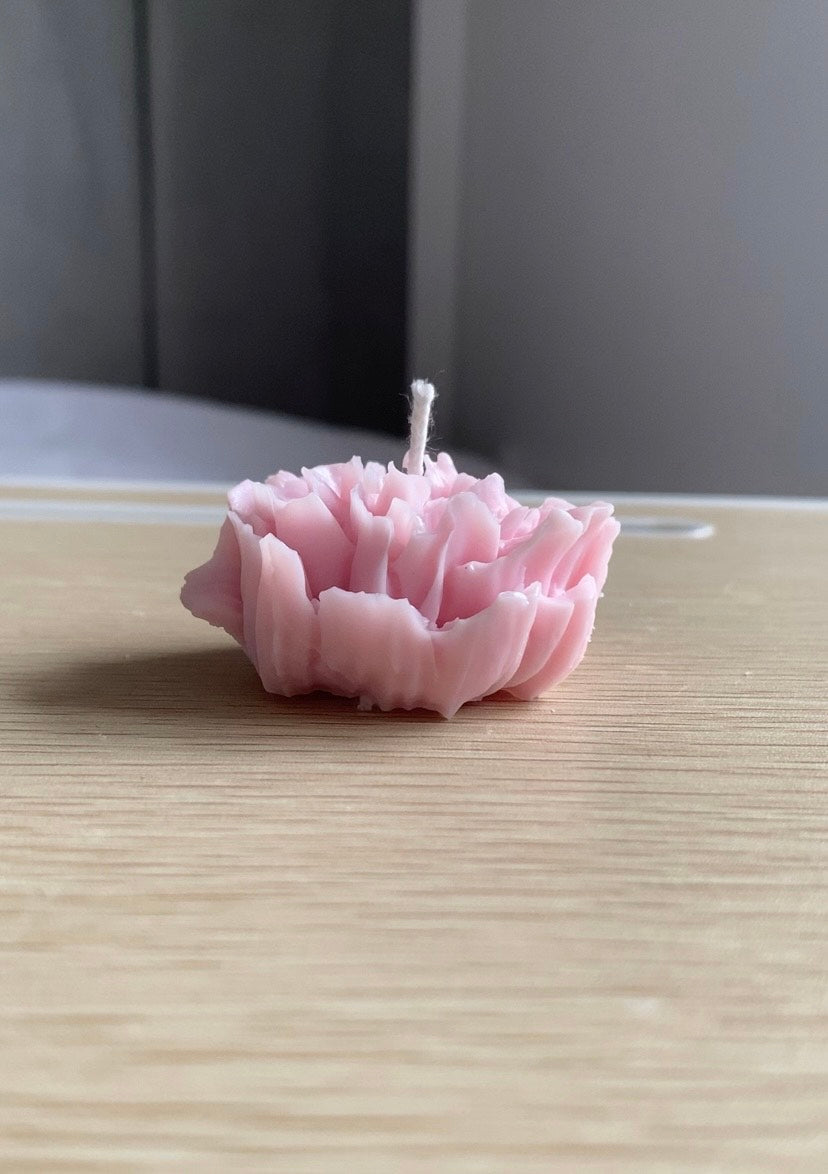 Peony flower bundle
