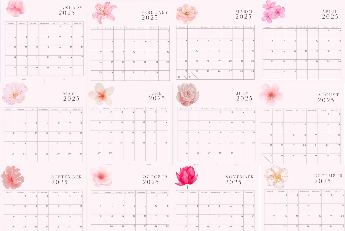 Ultimate 2025 Planner