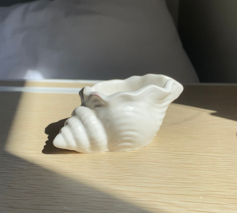 Sea Shell Trinket Dish