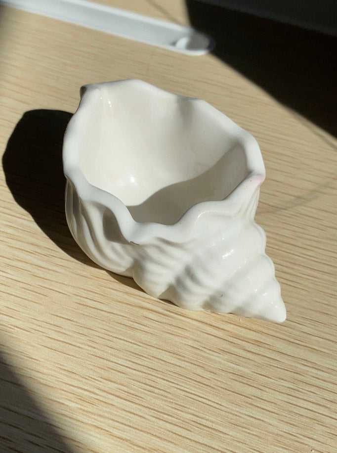 Sea Shell Trinket Dish