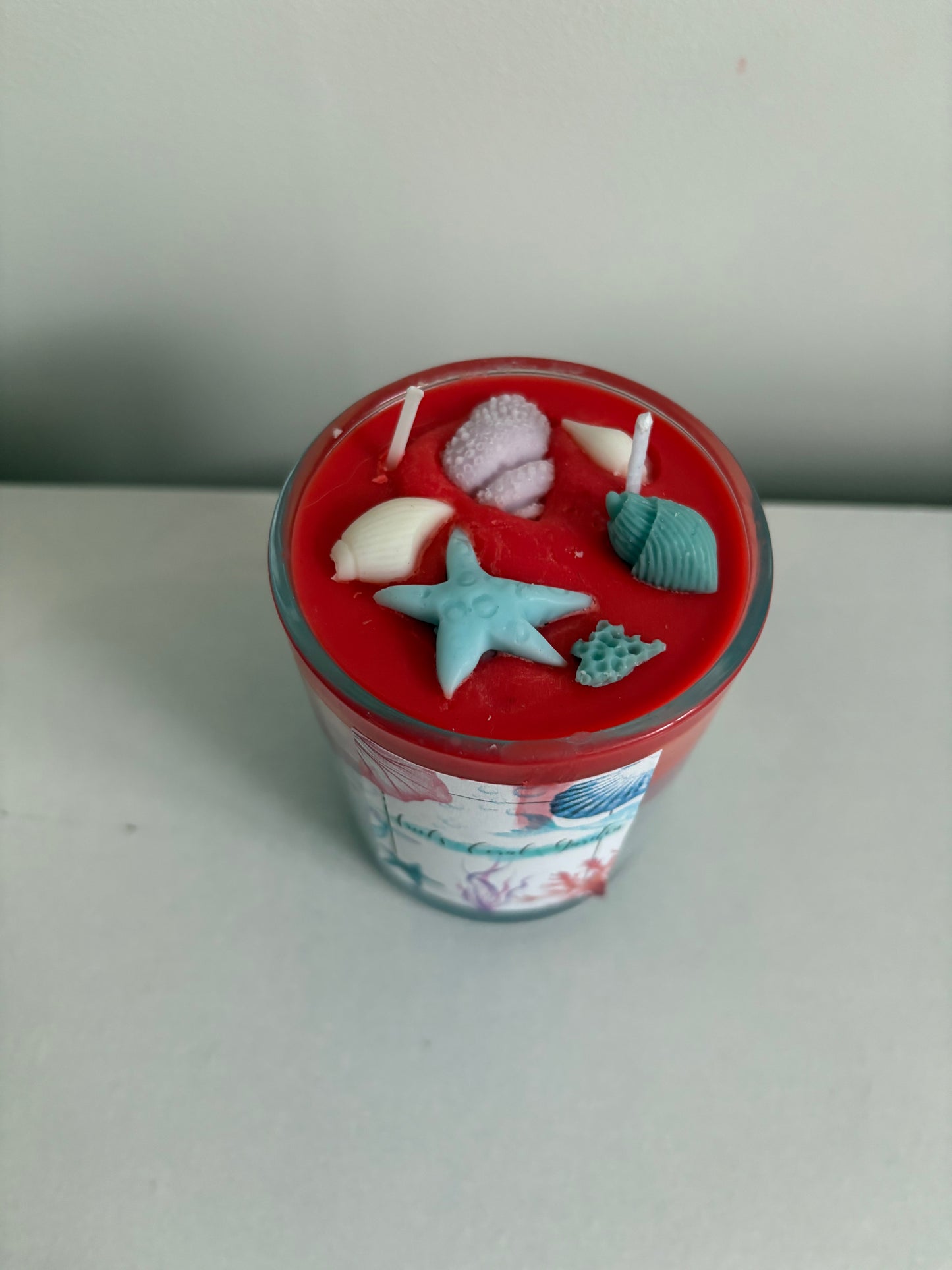 Ariel's Coral Garden